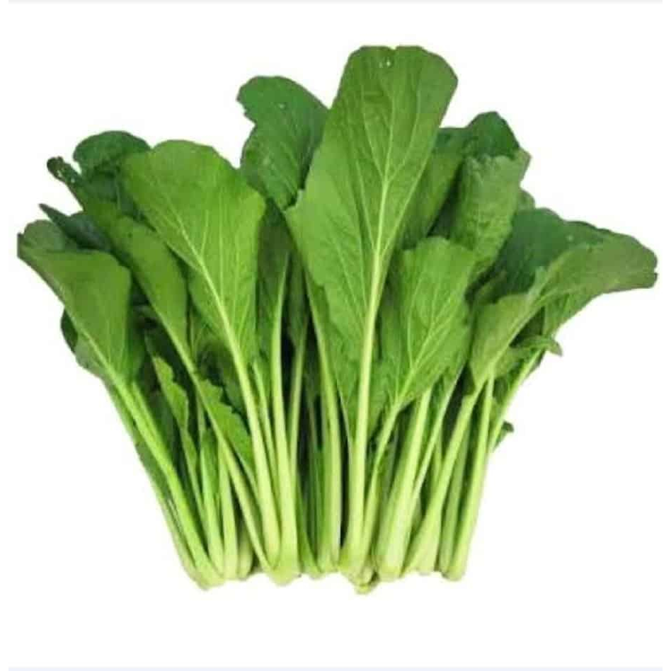 

sawi hijau segar 500 gr langsung dr petani