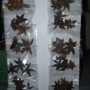 

Bunga Lawang Perbungkus