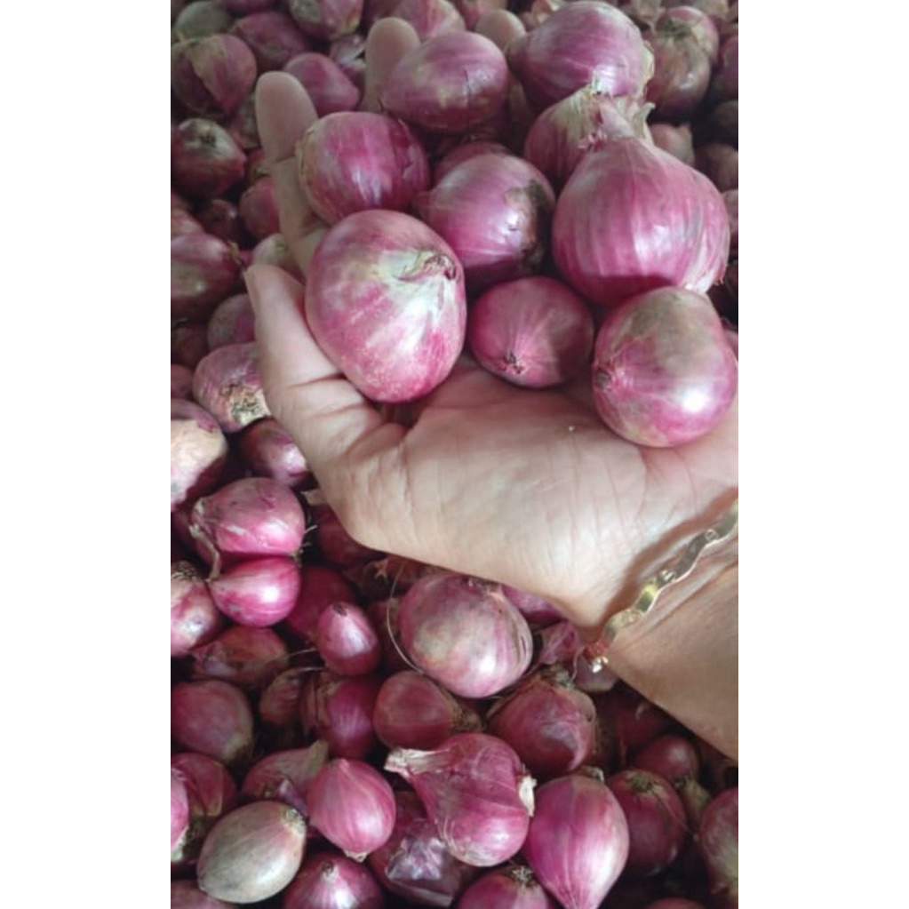 

bawang merah 1kg
