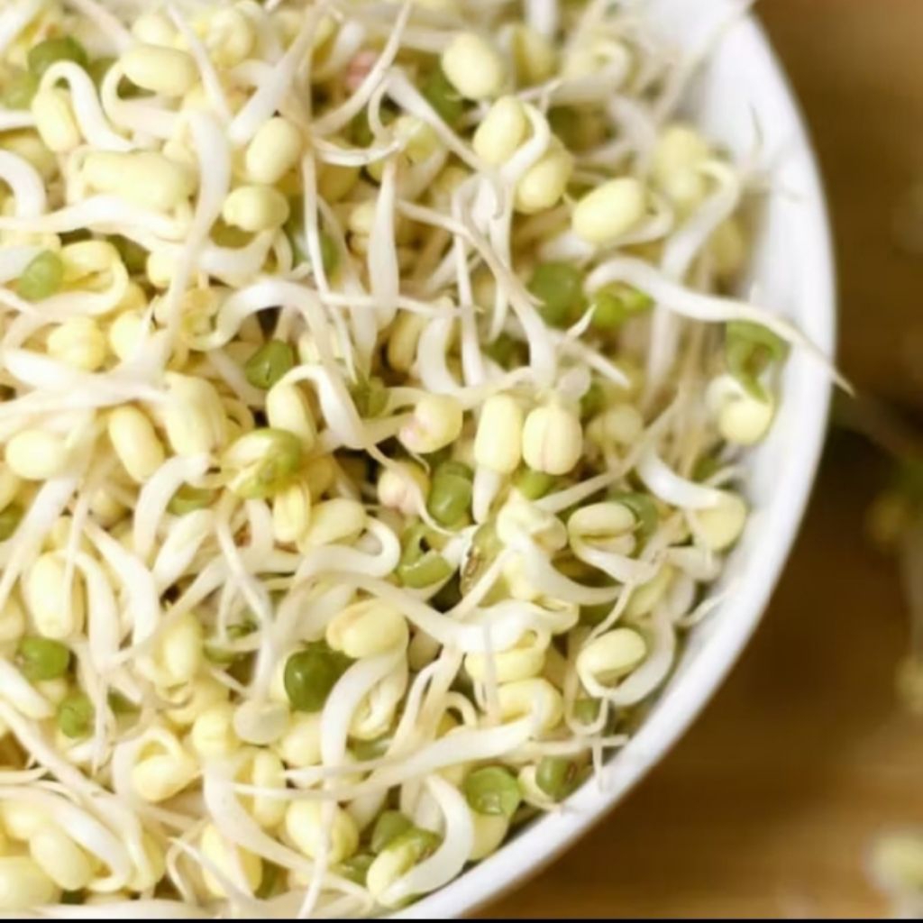 TAUGE PENDEK 100 gram