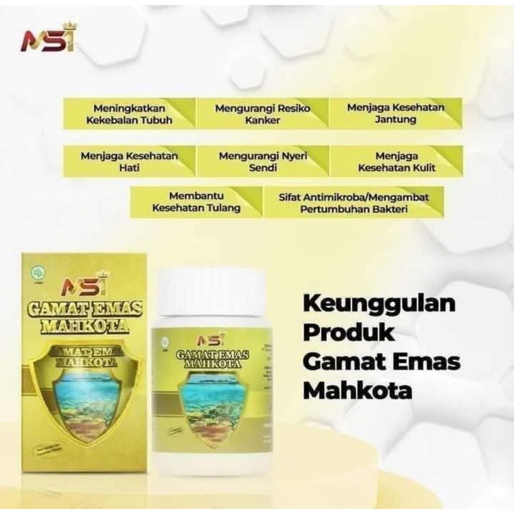 Gamat Msi original 100%