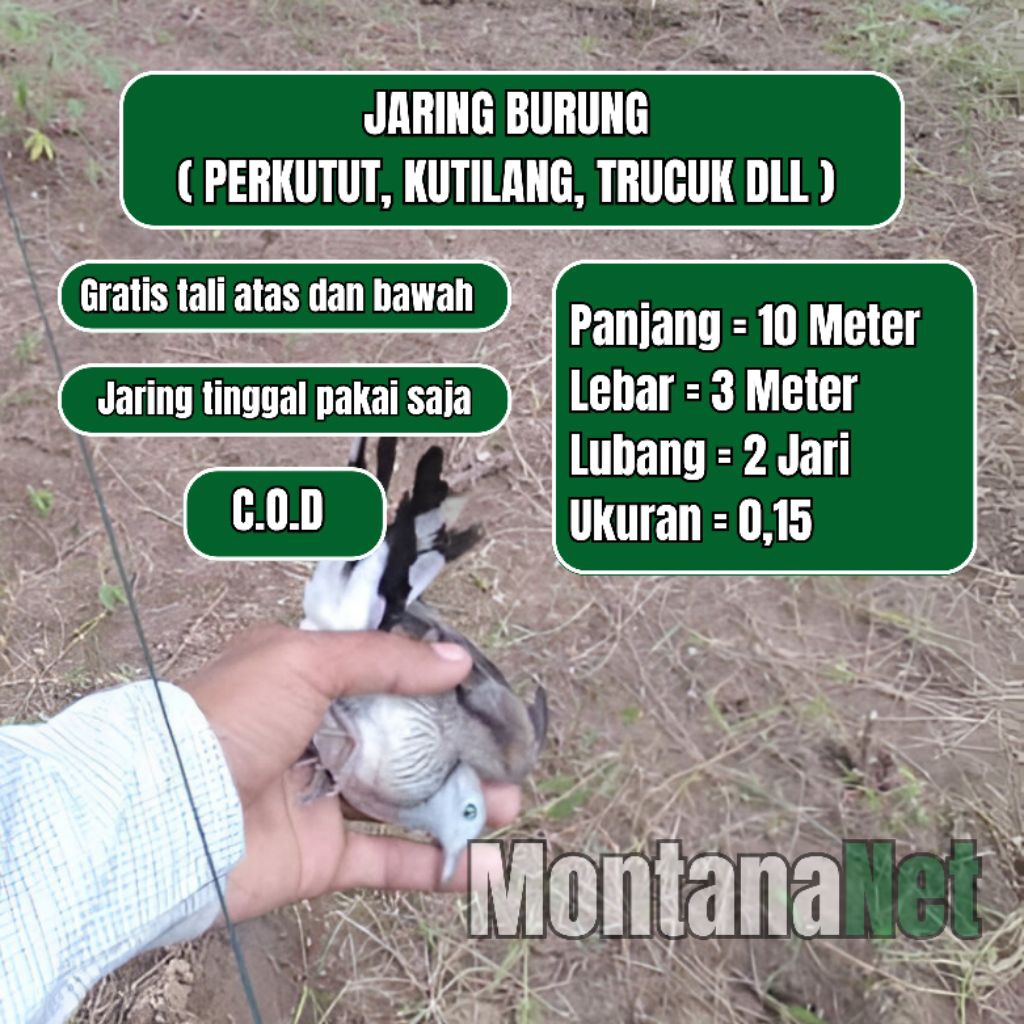 JARING PERKUTUT JARING BURUNG KUTILANG JARING BURUNG SAWAH SIAP PAKAI JARING