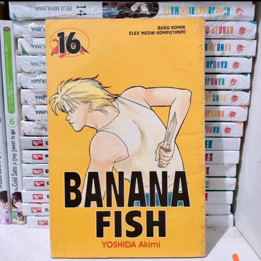 komik banana fish vol 16