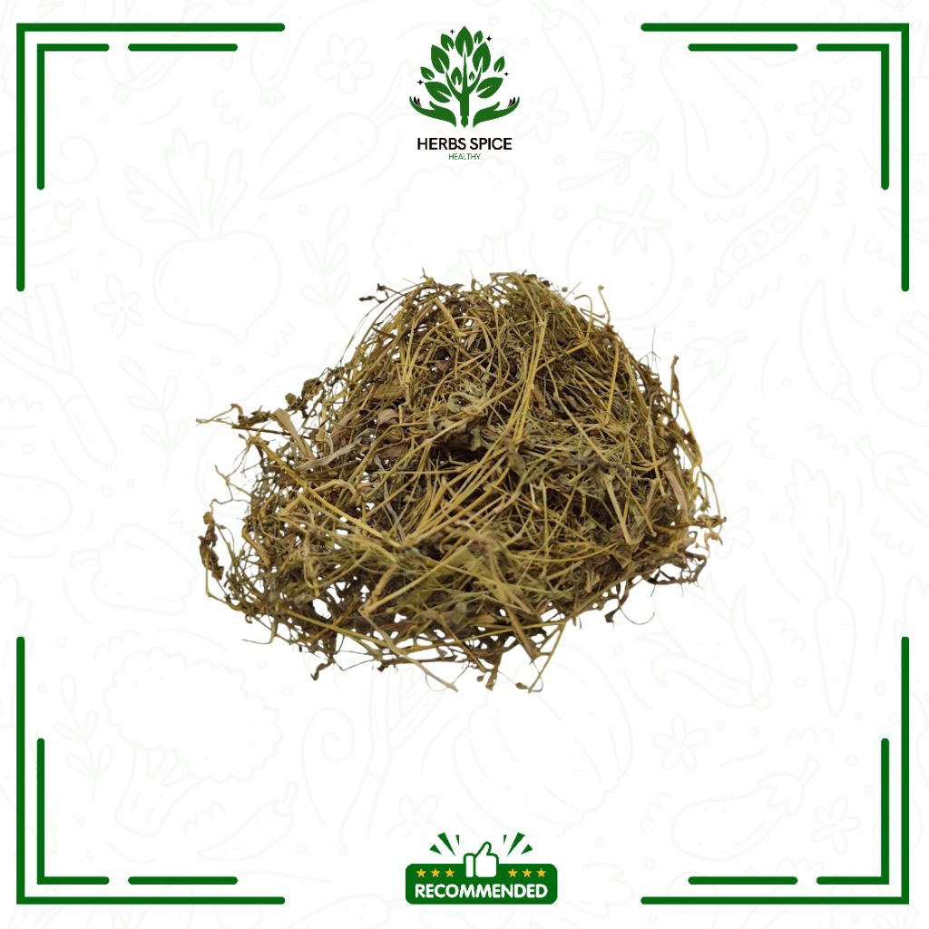 

Rumput Mutiara kering 500gr - Herbsspice