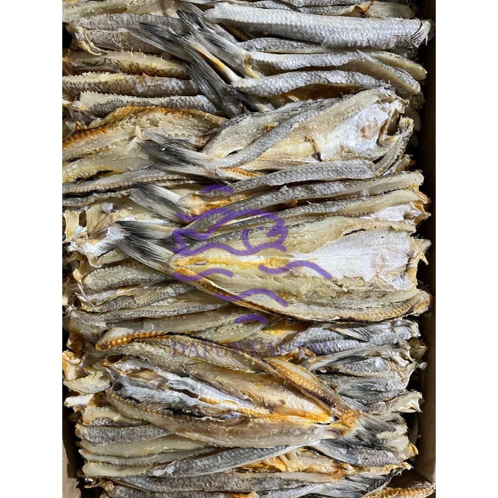 

Ikan Asin Bloso Belah Berat 250gr, 500gr, & 1000gr.