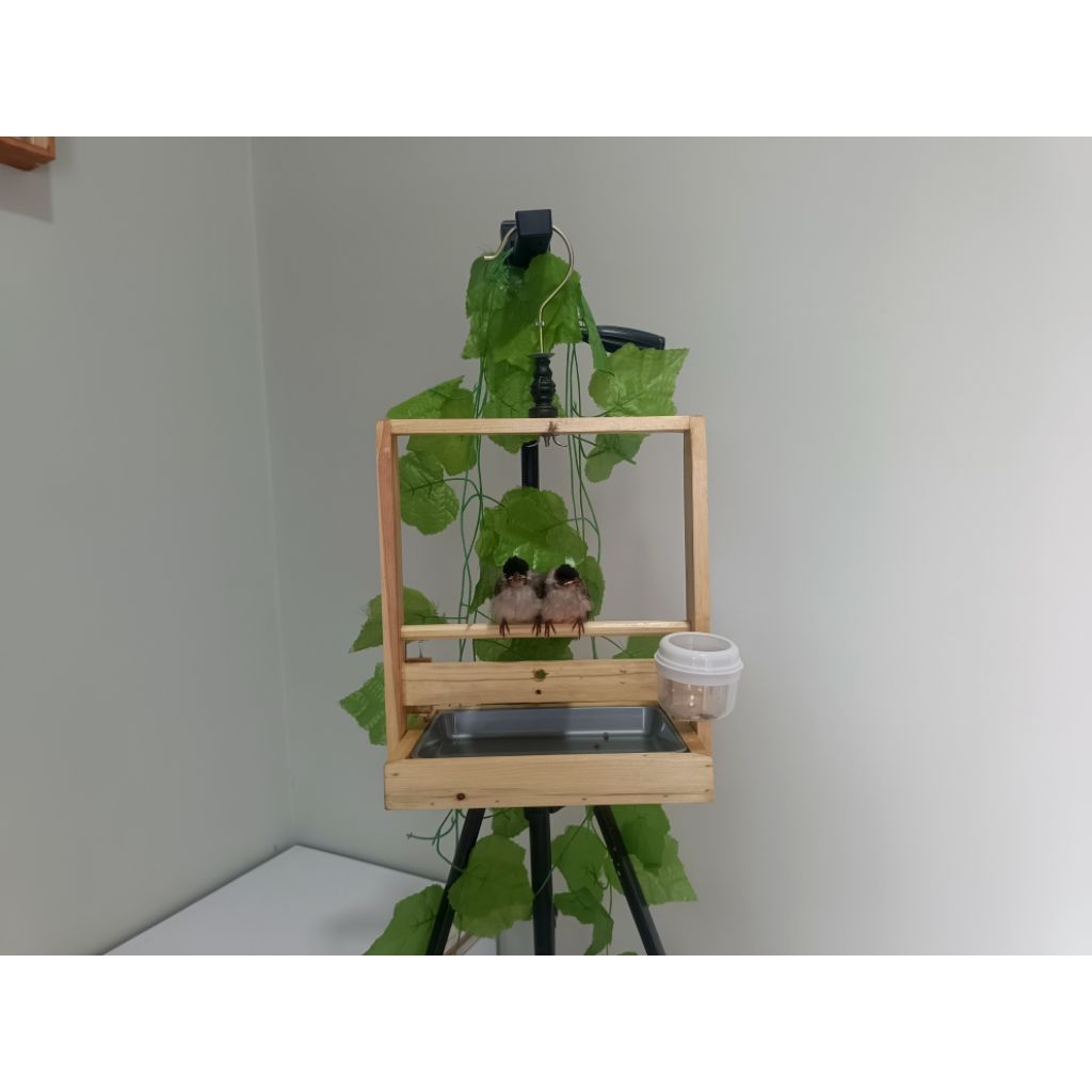 Sangkar Layang Kayu Model Baki Mini Polos Aesthetic