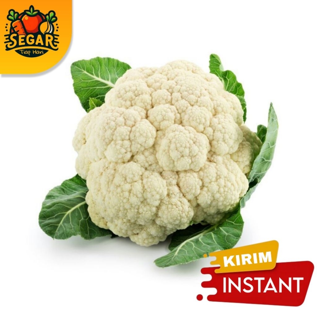 

SEGAR TIAP HARI | KEMBANG KOL SEGAR - 500GR