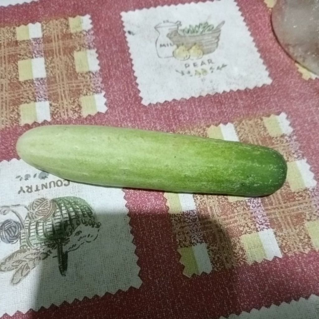 

Timun Paket 6 Jenis garansi