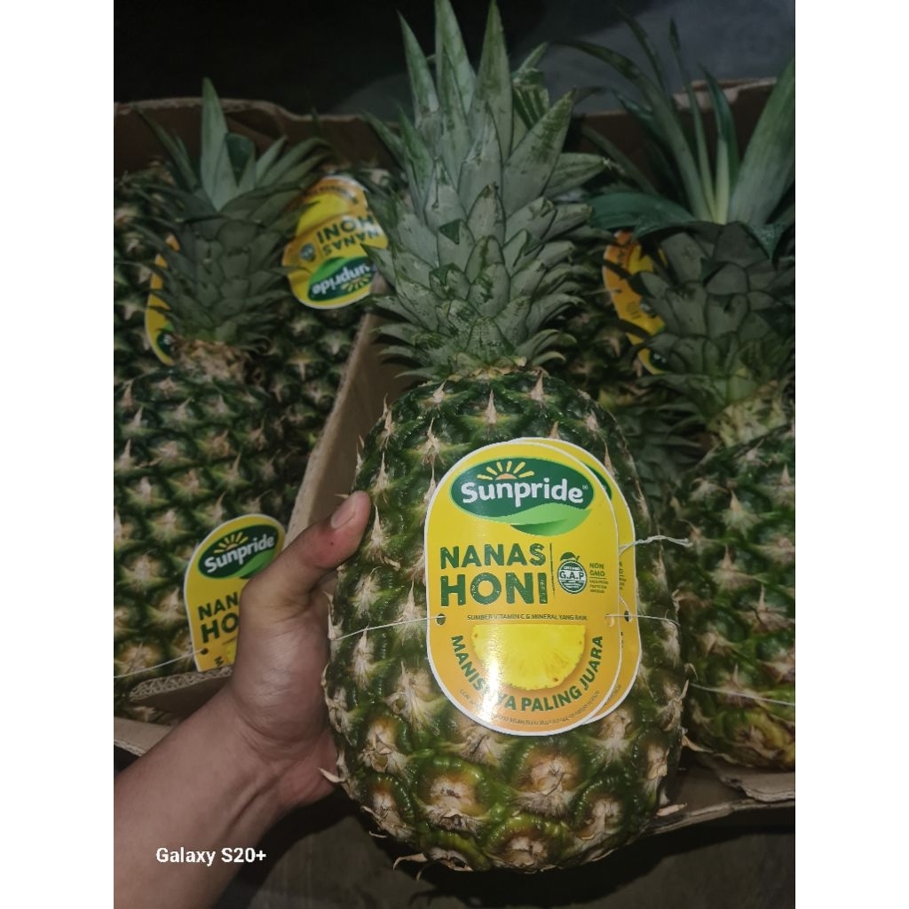 

Nanas_Sunpride