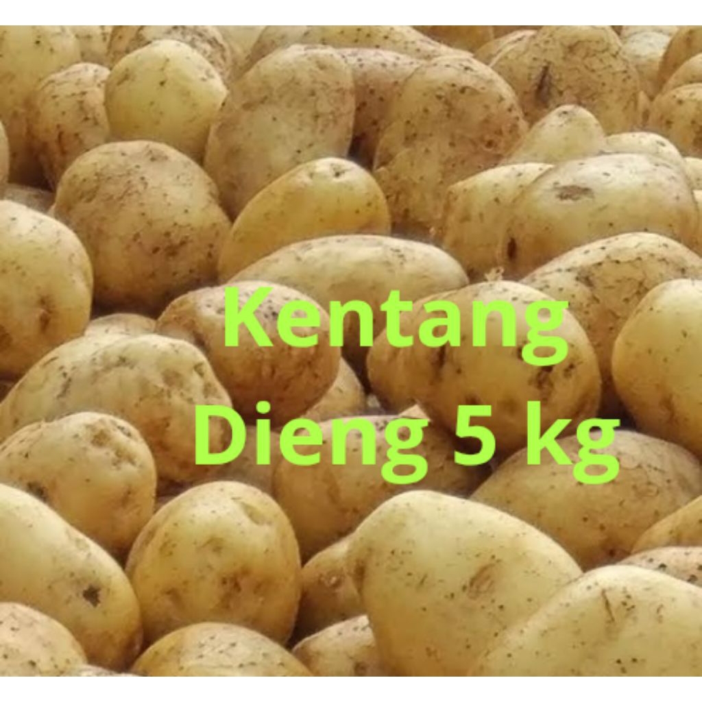 

Bismillahirrahmanirrahim, Kentang Dieng ukuran sedang 5 kg