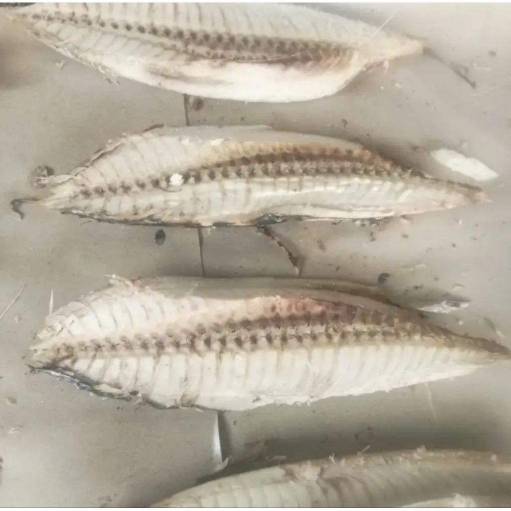 

Ikan Tongkol cue 100 gram