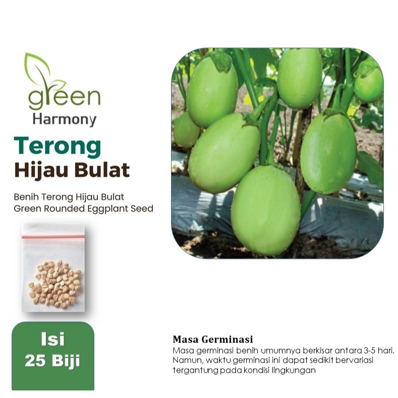 Biji - Benih Sayuran Terong Pondoh RONGGO