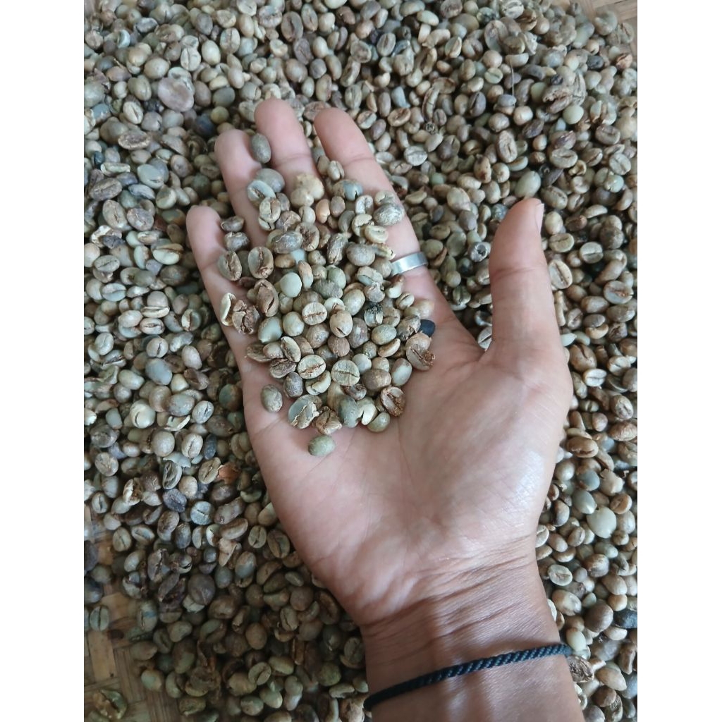 

BIJI KOPI ROBUSTA GREEN BEAN 1KG ASALAN
