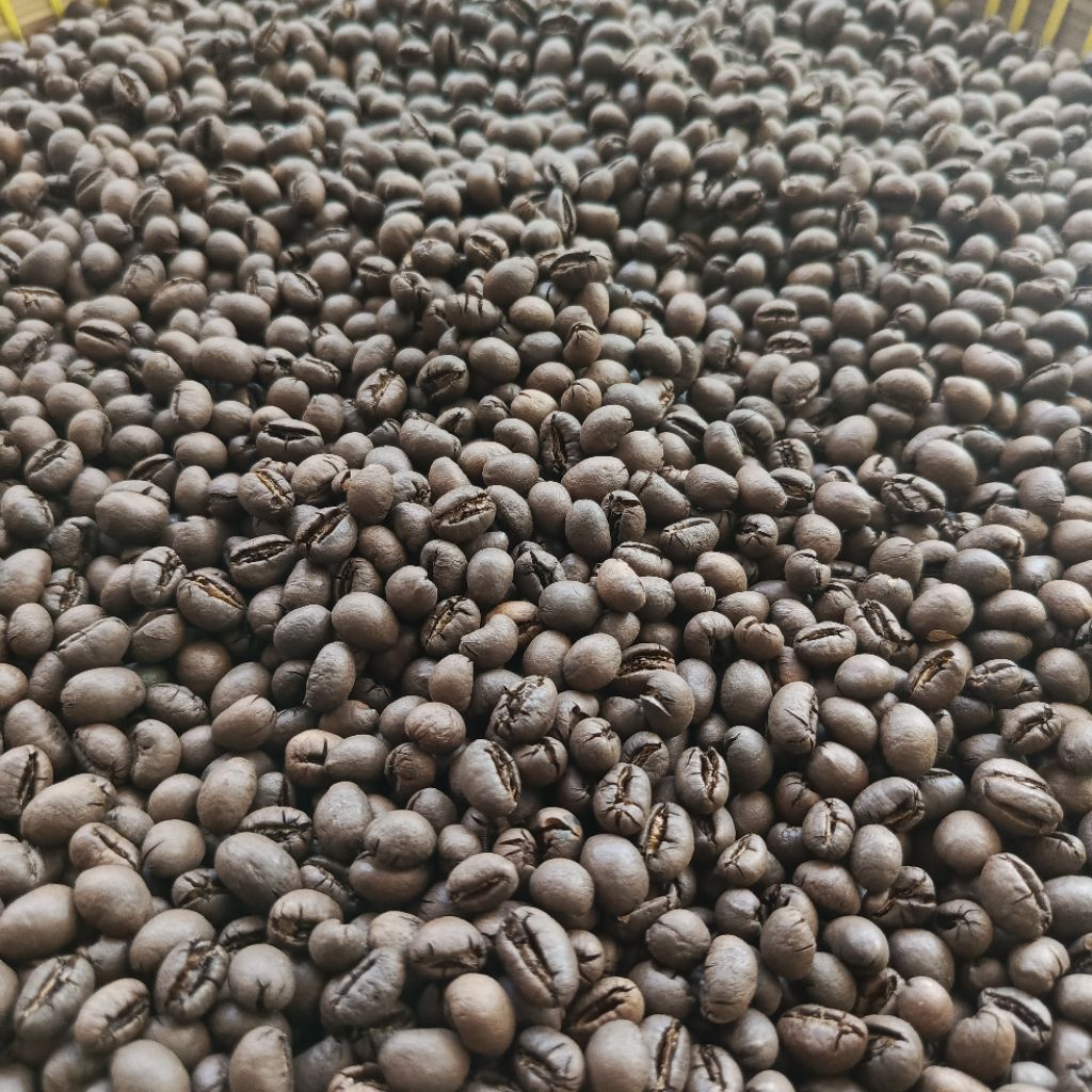 

Robusta Lanang Roasted Bean