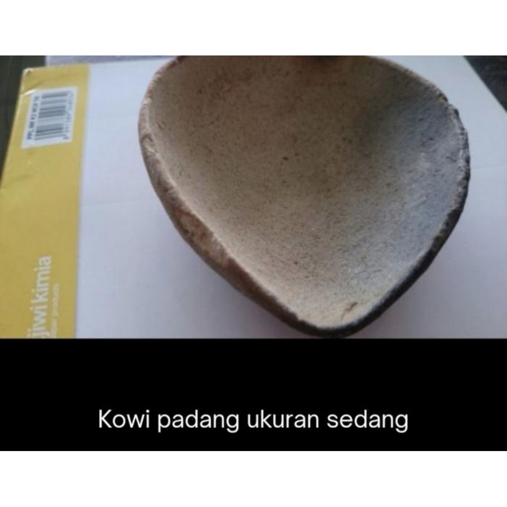 Kowi padang ukuran sedang