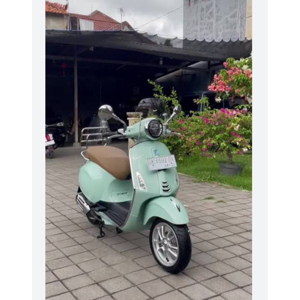 Cat Pu Relax Green Pu Cat Hijau muda Pastel Green Cat Motor Mobil