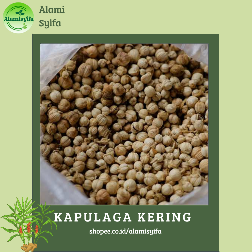 

KAPULAGA KERING DAN BERSIH KAPOL KERING BERAT 1Kg