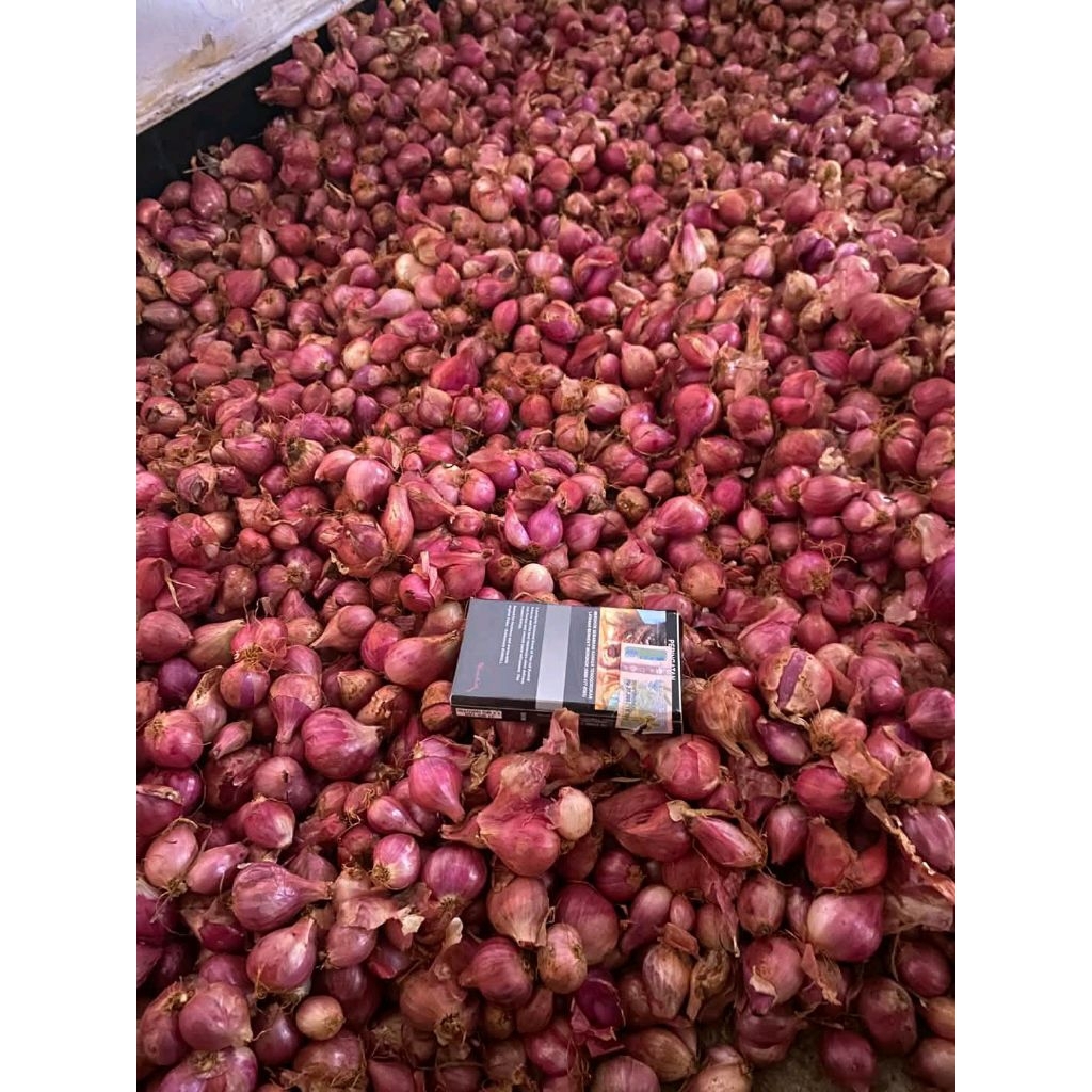 

BAWANG MERAH LOKAL NGANJUK 500g