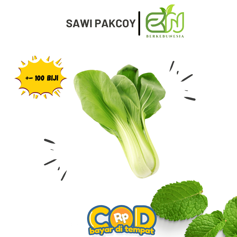 Benih Sayuran Daun Sawi Pakcoy Biji Bibit Sayuran Sawi Pakcoy