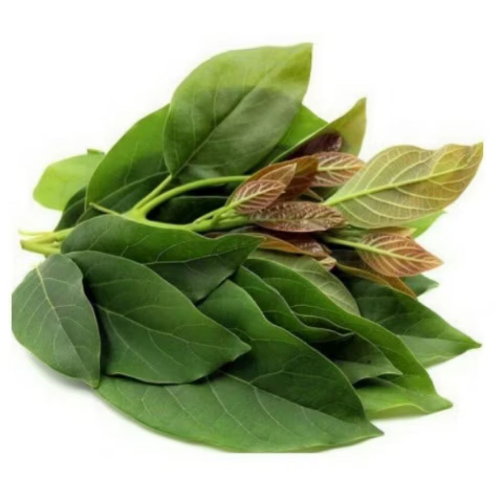 

daun alpukat segar 200 gr