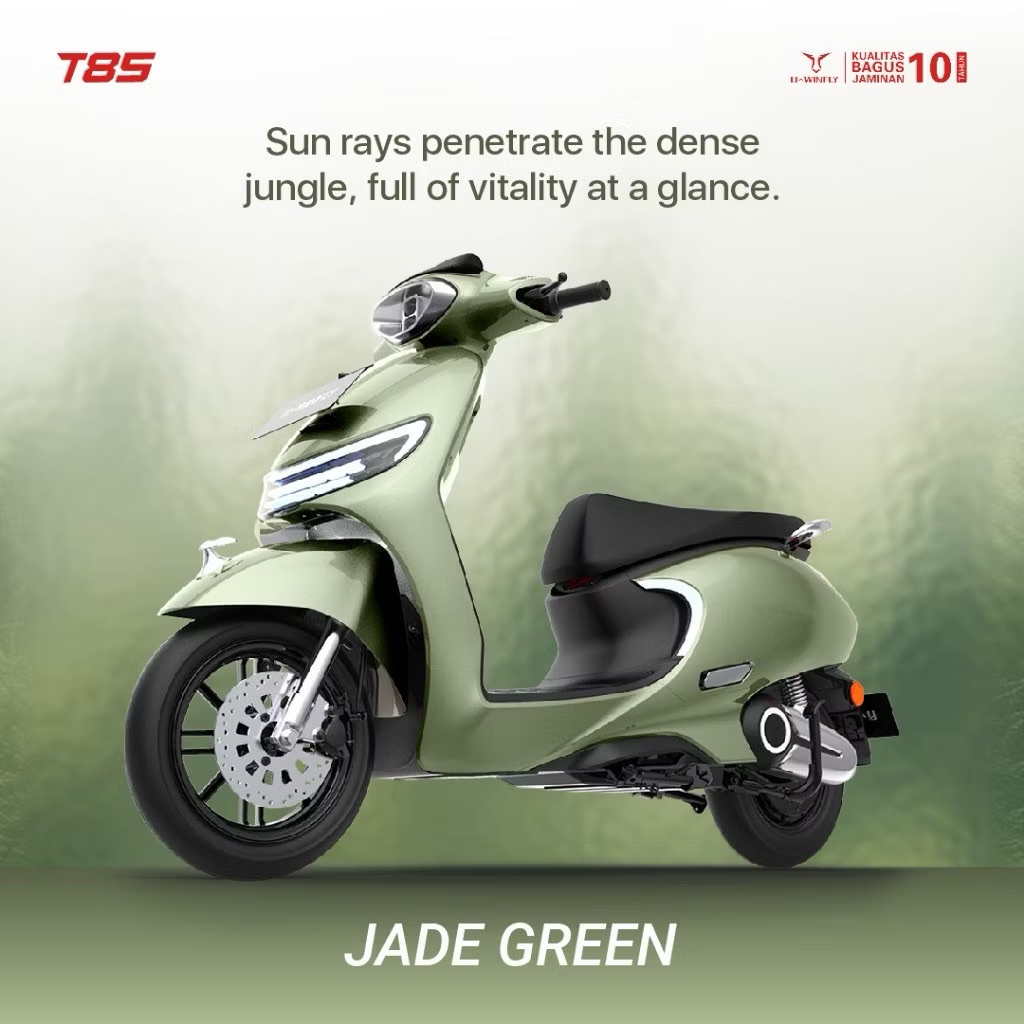 MOTOR LISTRIK UWINFLY T85