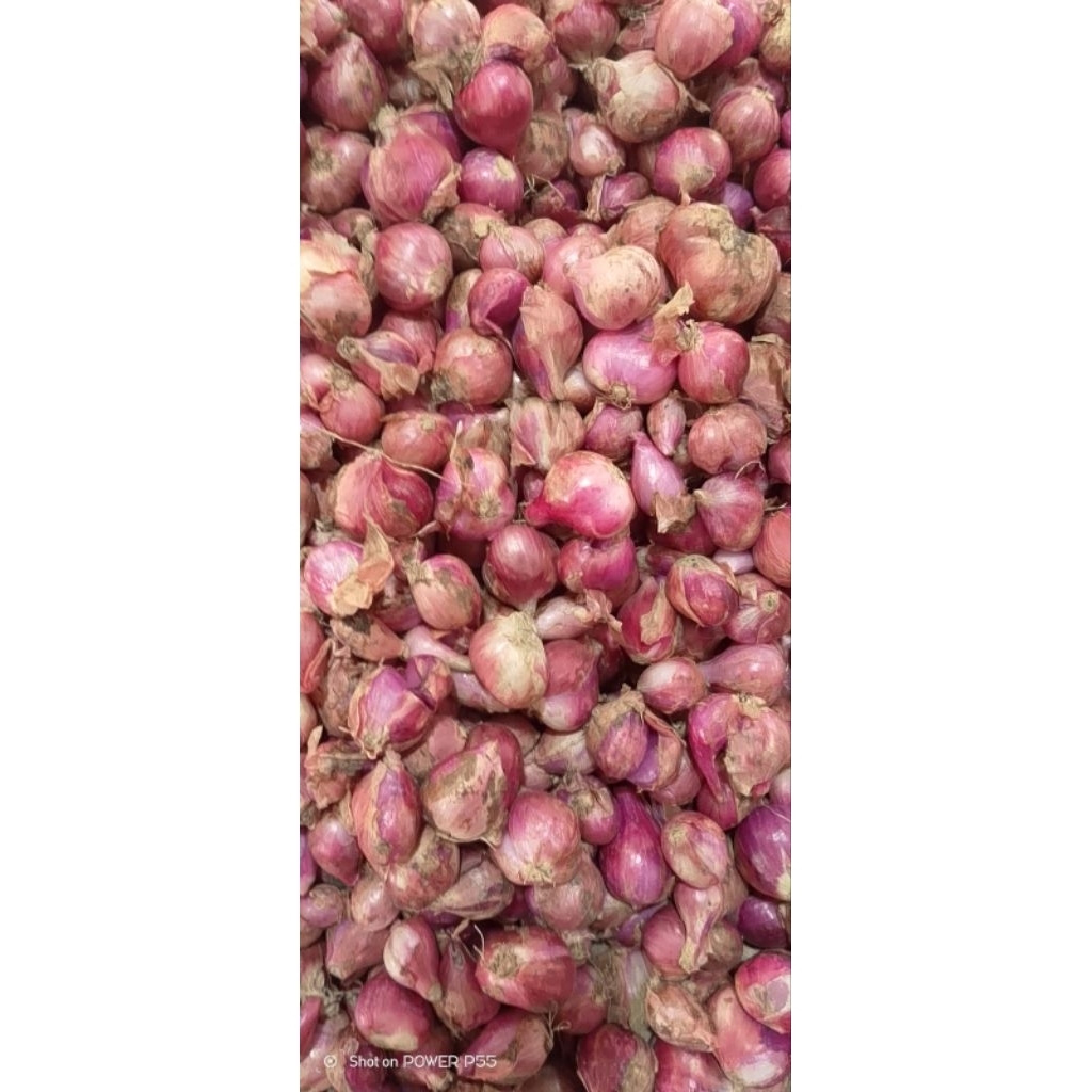 

bawang merah kecil(srok)
