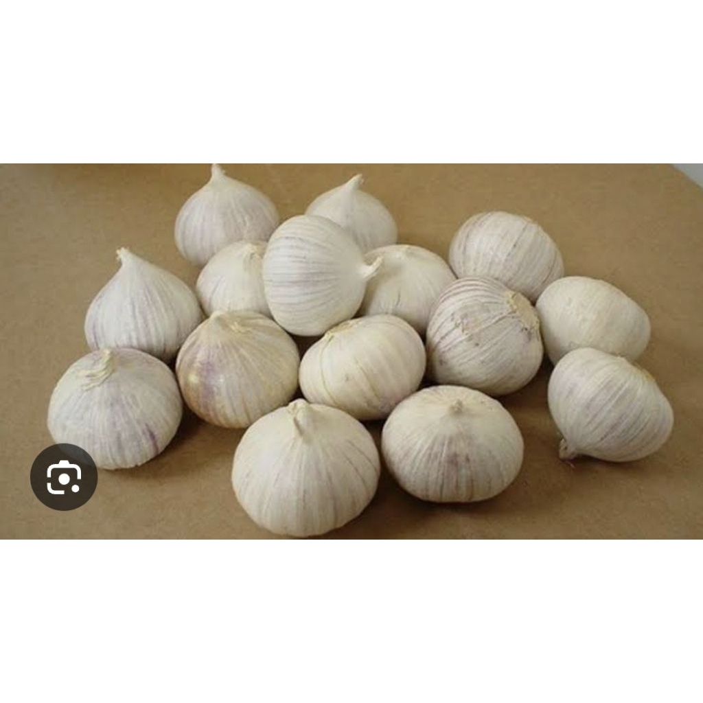 

Bawang Putih Tunggal 500 Gram