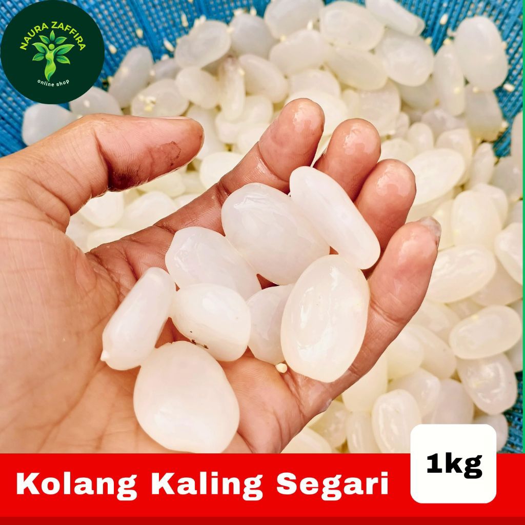 

kolang kaling segar 1kg sehat siap di olah dan enak rasanya