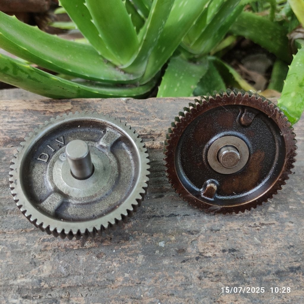 GIGI PENGHANTAR DALAM BAK MAGNET KALTER KARTER CARTER RENGKES KRENGKES CRANGCASE KANAN GIGI SEDANG D