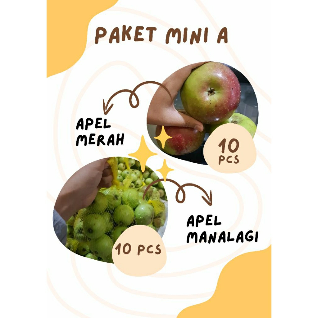

13K Dapat 2 Jenis Buah Apel Merah, Apel Manalagi, Apel Malang Fresh Segar