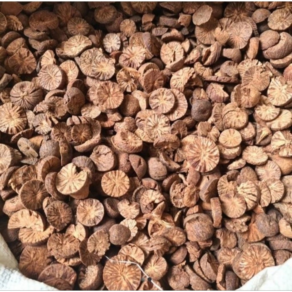

Buah Pinang Iris Kering | Buah Jambe Kering | Stamina Pria | Suka Tani99