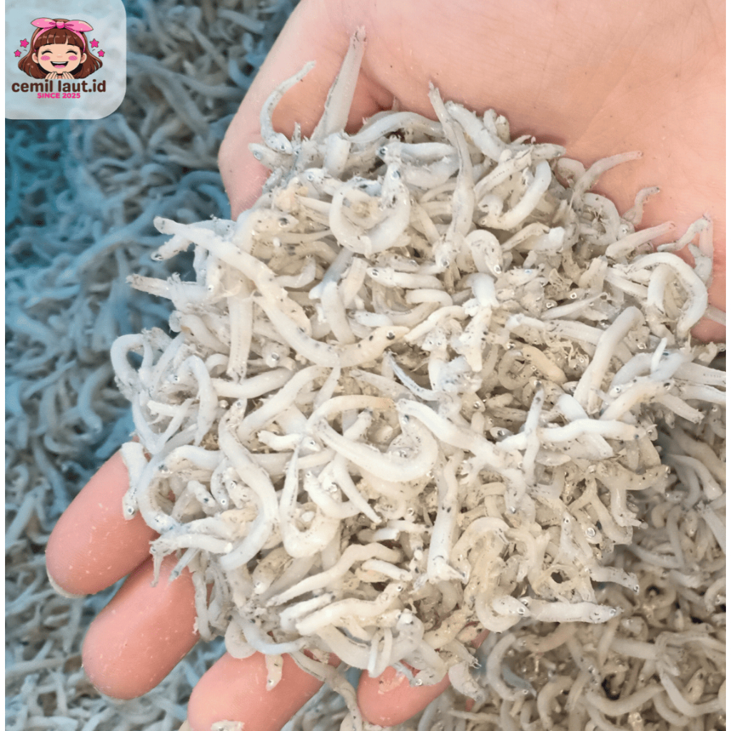 

IKAN TERI MEDAN PREMIUM (PER 500 GRAM)