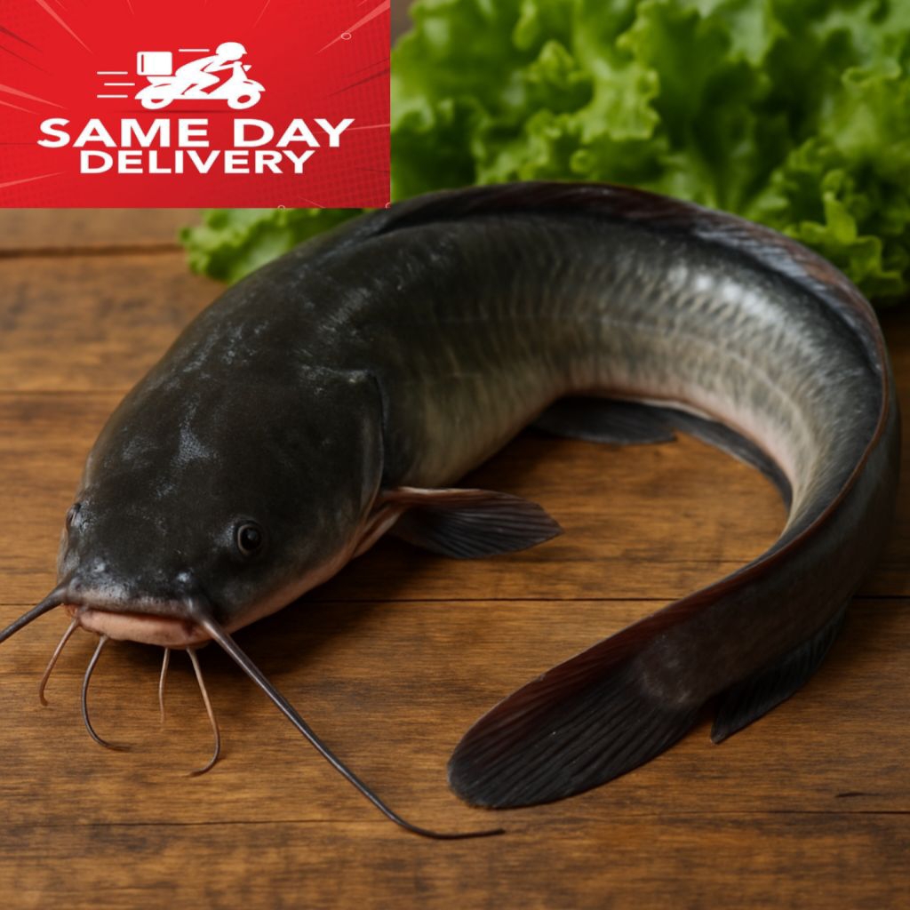 

Ikan Lele Segar Hidup 1 Kg