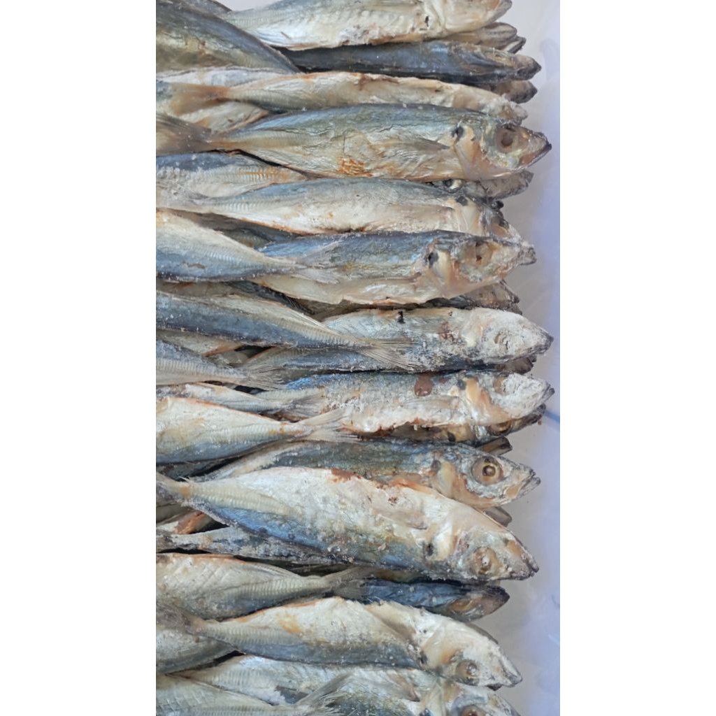 

Ikan Asin Peda Layang 250 gram