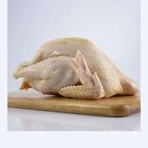 

Ayam 1 ekor ukuran sedang potong 10 bagian