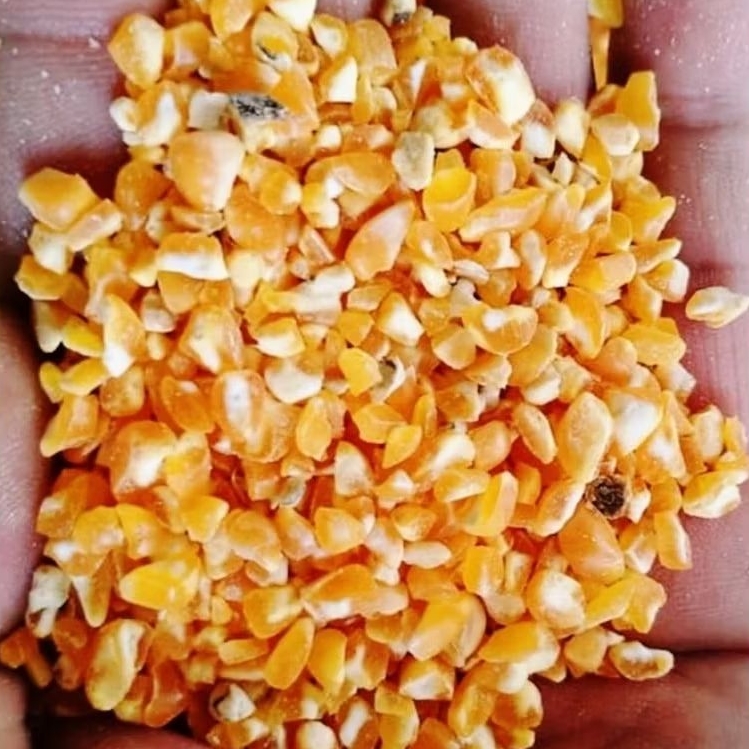 

1 karung Jagung giling kasar super bersih langsung penggilingan 1 karung 25 kg