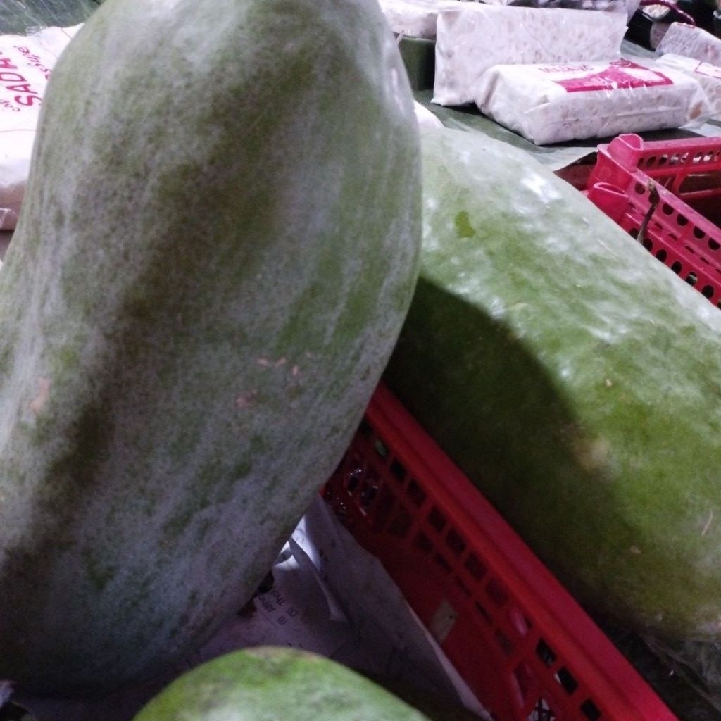 

Bligo / Blonceng / Kondur per 1 biji