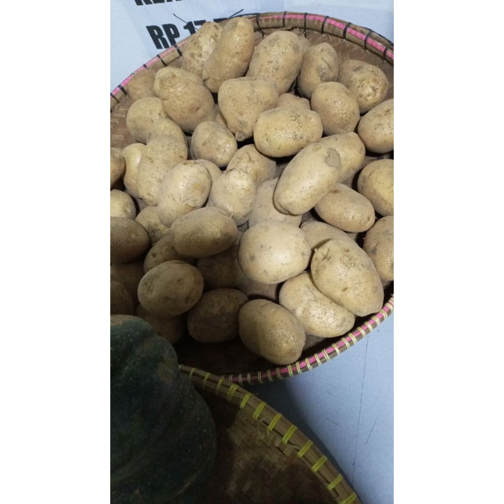

Kentang fresh baru panen harga promo