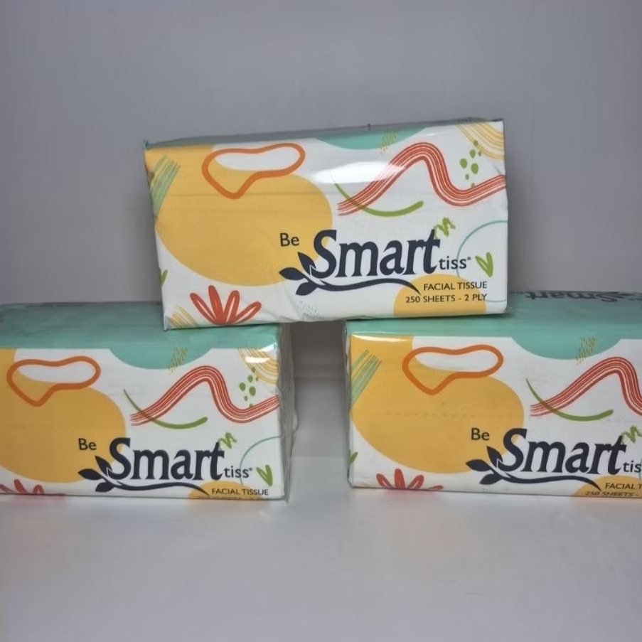 Be Smart Tiss Facial Tissue 250 Sheets