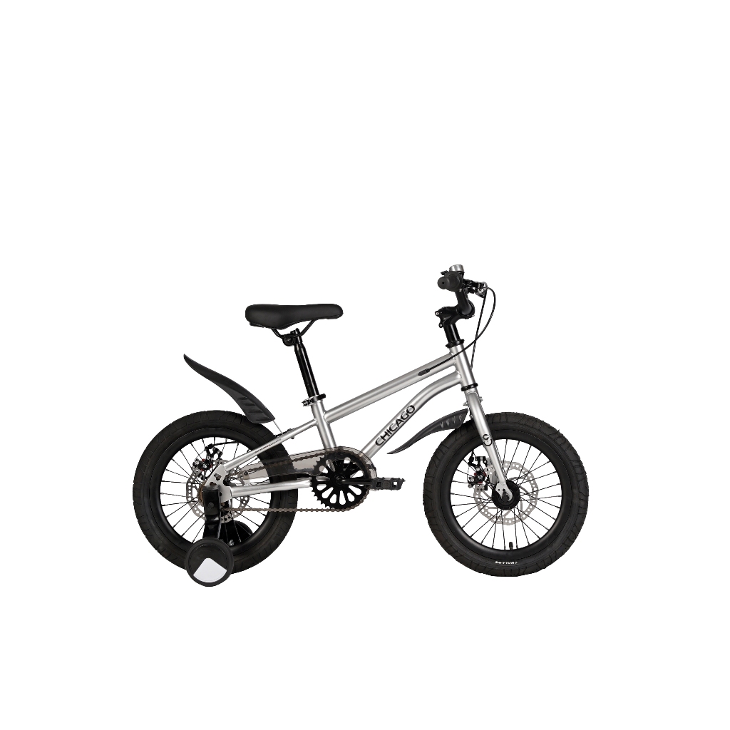 SEPEDA ANAK / Kids Bike Element Chicago