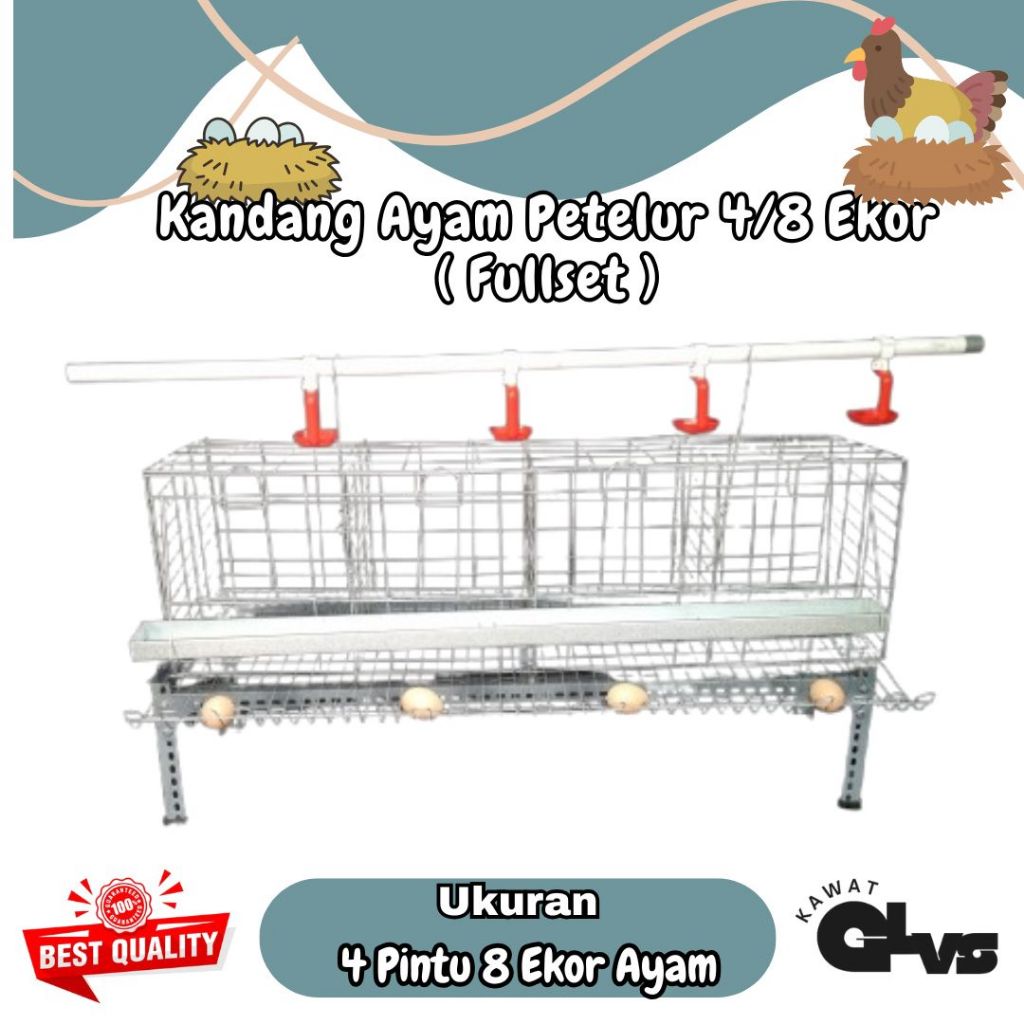 Kandang ayam petelur Full 1 set | kandang petelur 4/8 ekor ayam | kandang ayam petelur galvanis