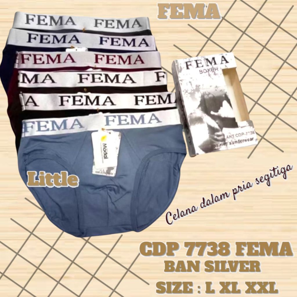 3 PCS CD PRIA Segitiga FEMA Celana Dalam Pria FEMA 7738