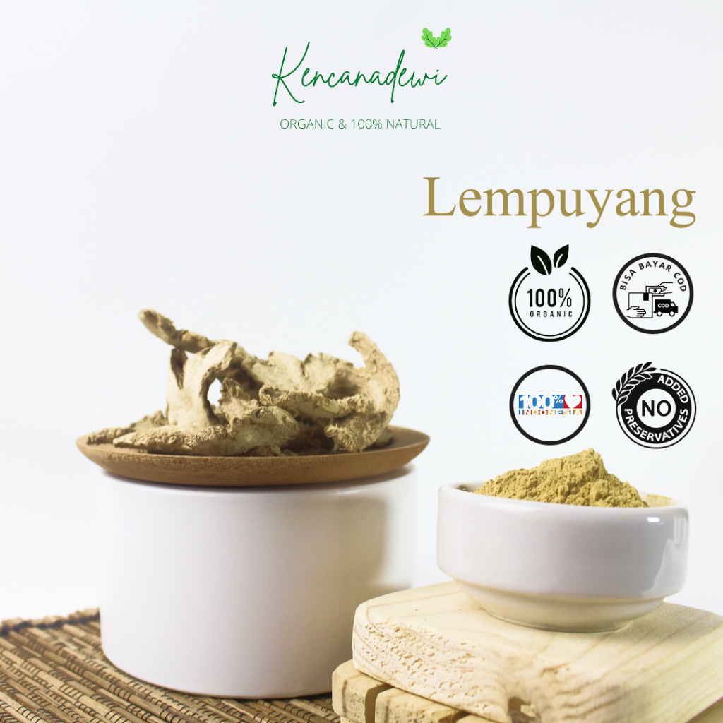 

Lempuyang Kering Iris / Zingiber zerumbet Dry Slice
