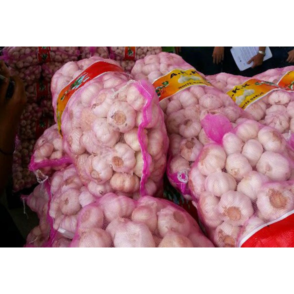 

bawang putih fresh isi 1kg
