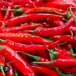 

cabe merah besar 100 gr