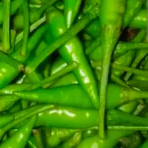 

cabe rawit ijo 50 gr