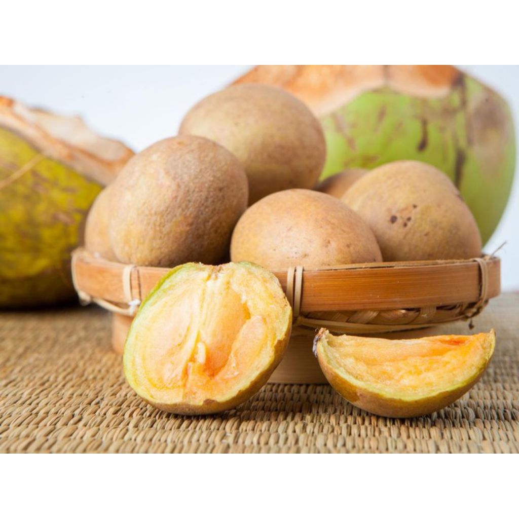 

murah meriah oleh-oleh khas pangandaran Buah sawo 1 kg