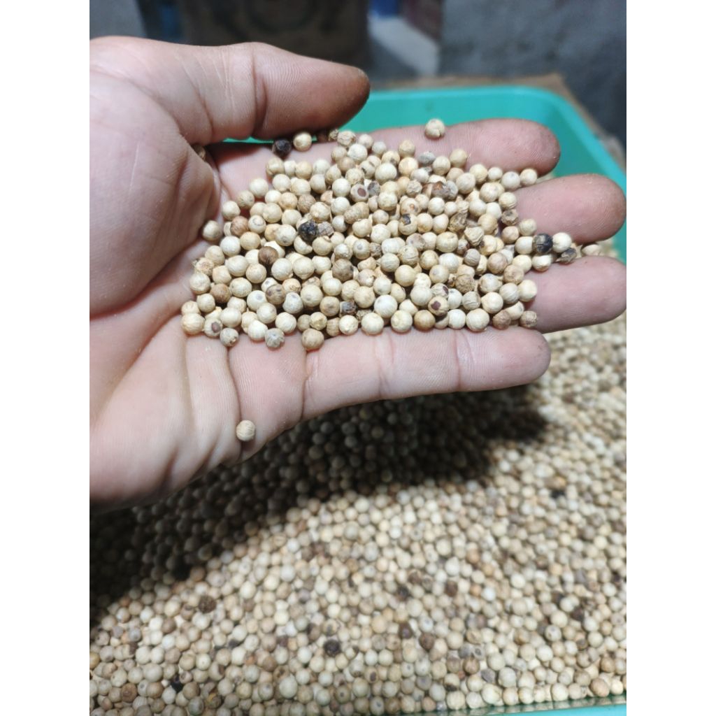 

Lada putih,lada bulat, berat 100gram