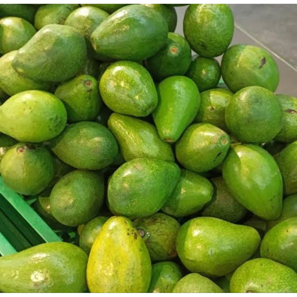 

Alpukat mentega ukuran standar 15kg 30kg