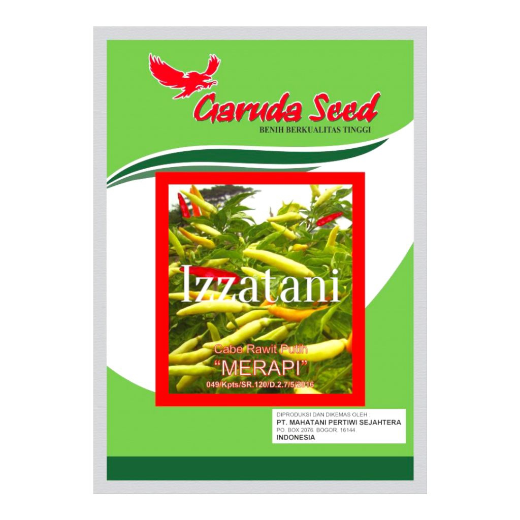 Benih Cabai Rawit Putih MERAPI Cabe Tipe Tegak Lebat Cabe Rawit Garuda Seed 10Gram
